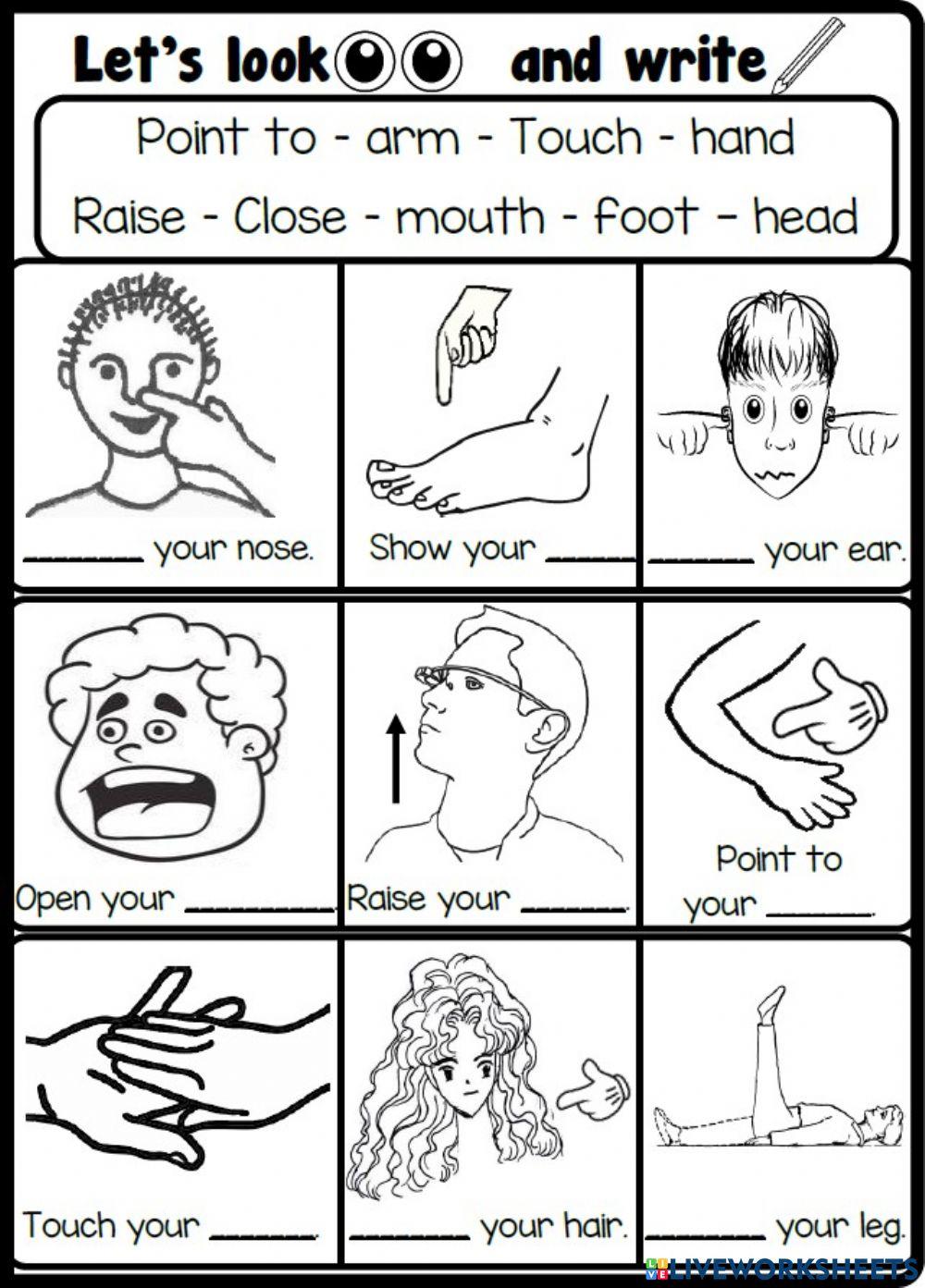 2.7. Body Parts - Commands 2.7. Body Parts - Commands