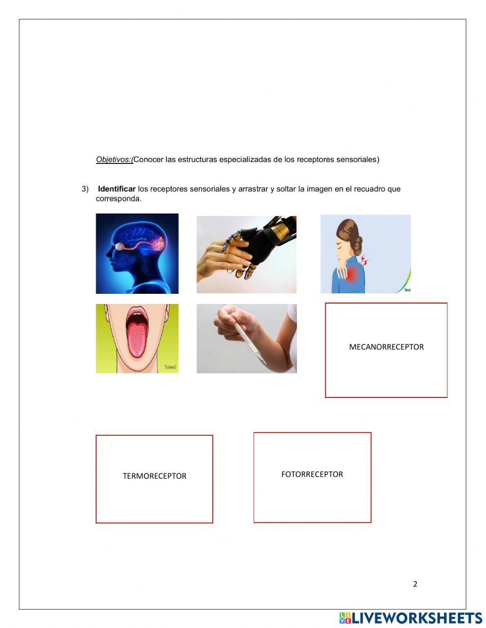 Secuencia didáctica digitalizada