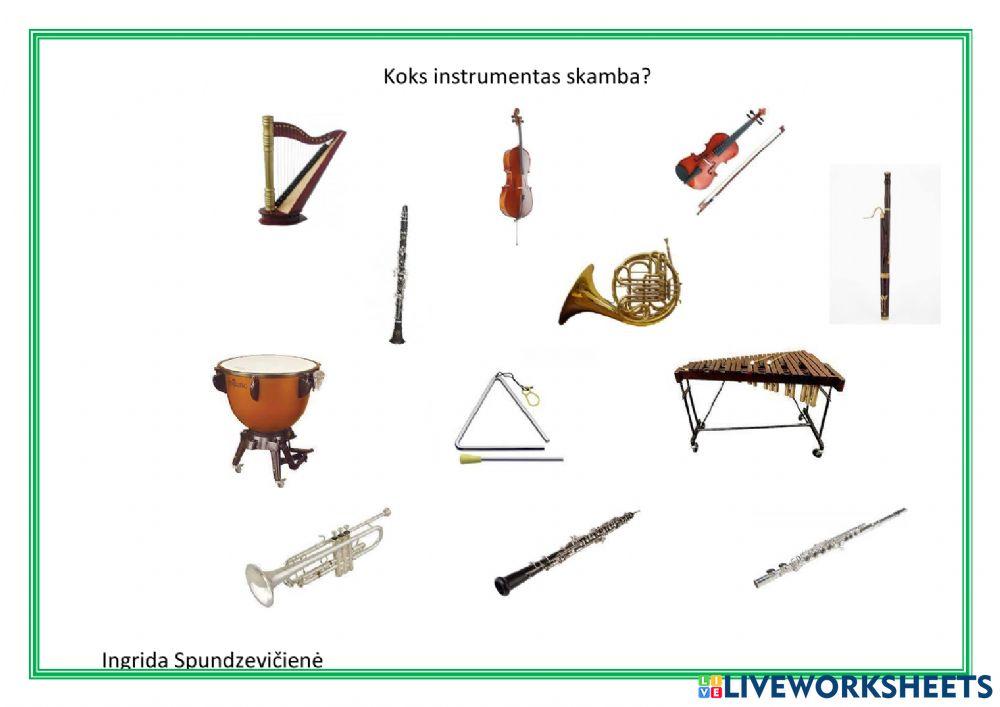 Koks instrumentas groja?