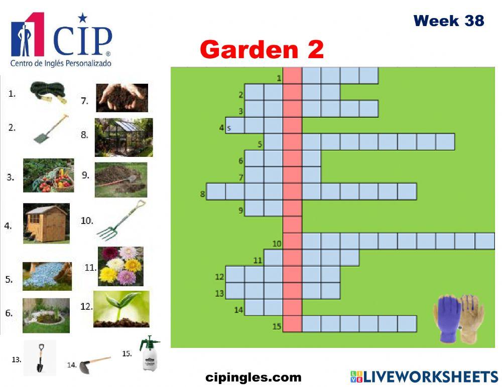 Verbs and Garden 2 Week 38