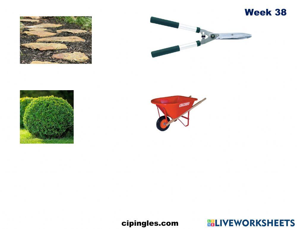 Verbs and Garden 2 Week 38