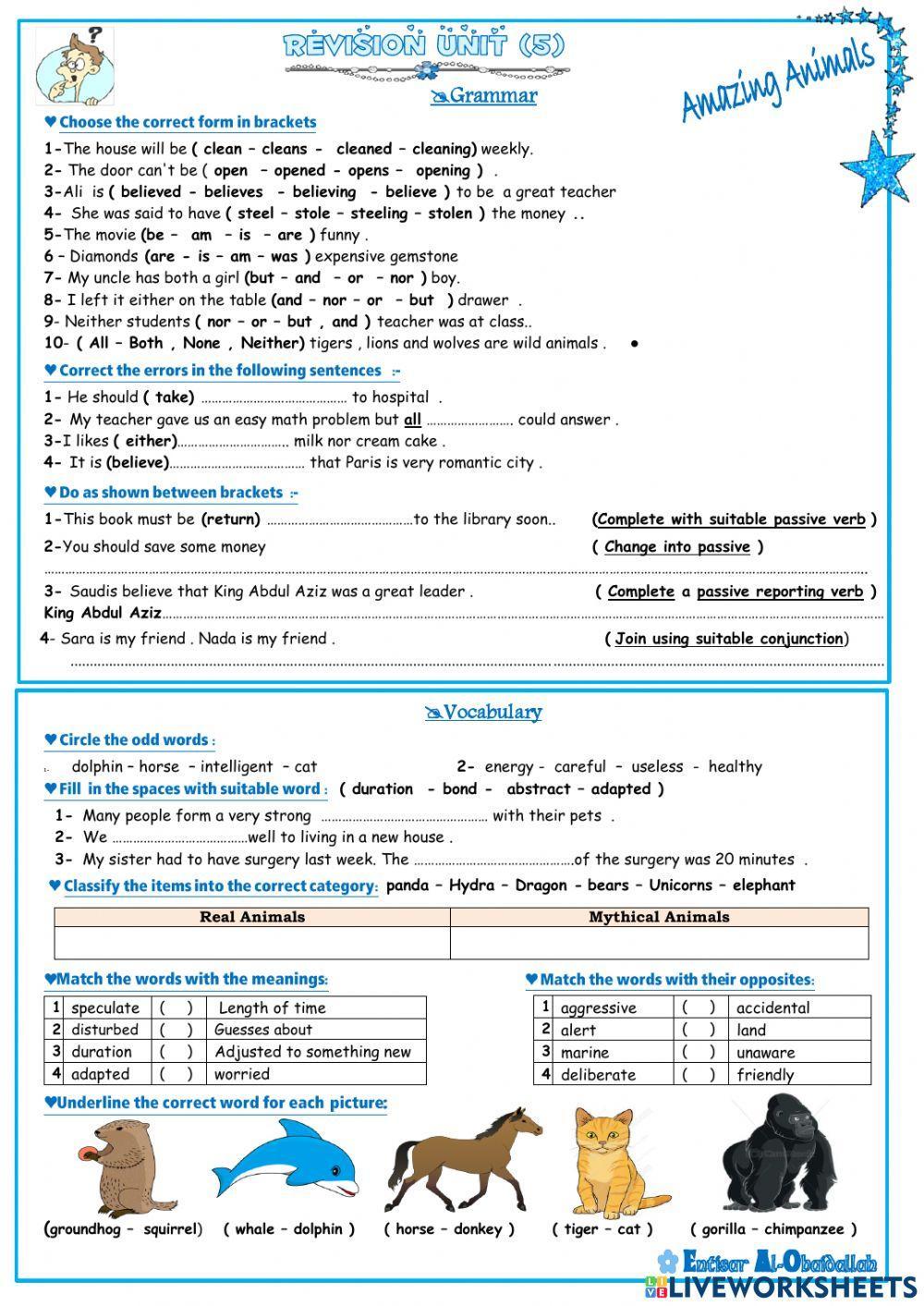 MG4 Unit 5 Revision MG4 Unit 5 Revision