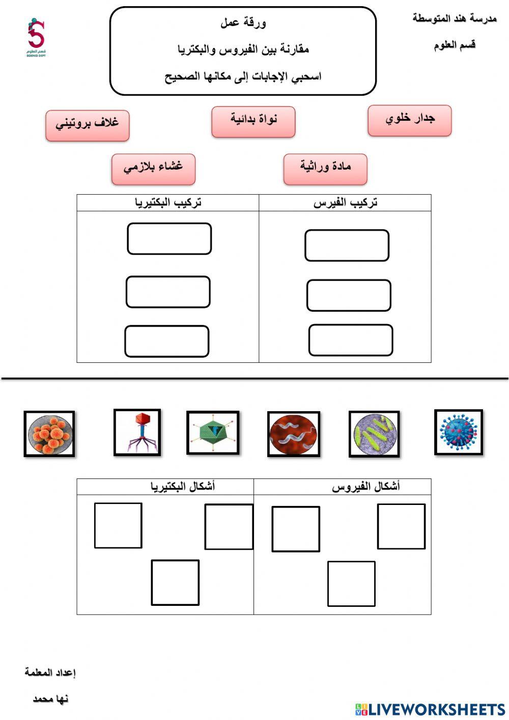 مقارنة بين الفيرس والبكتيريا