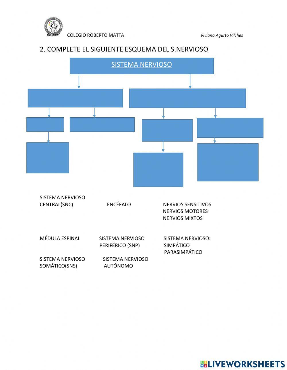 Sistemas de relación