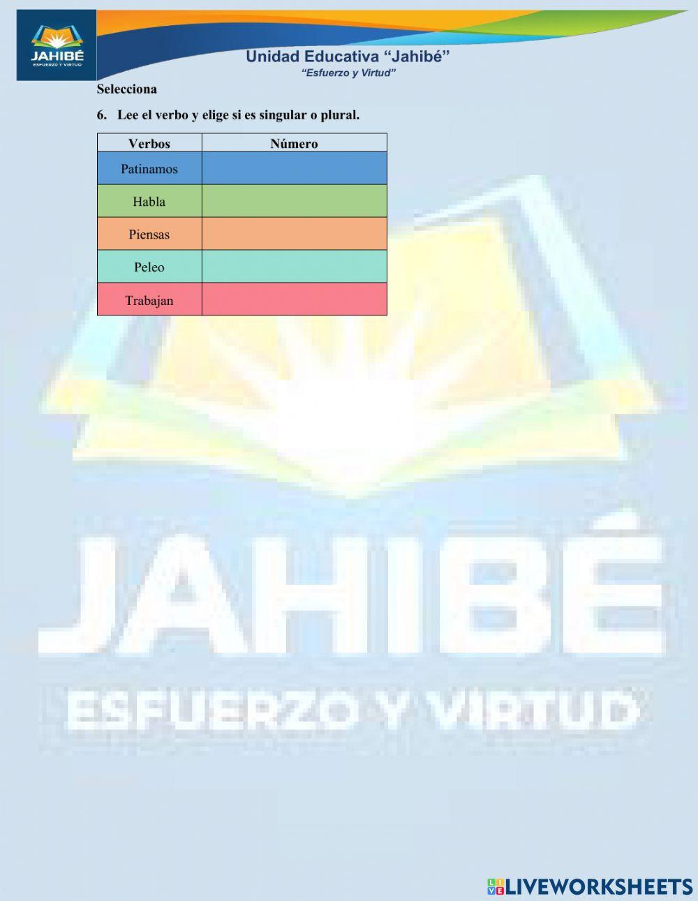 Leccion No. 1 (3ero EGB) 2P