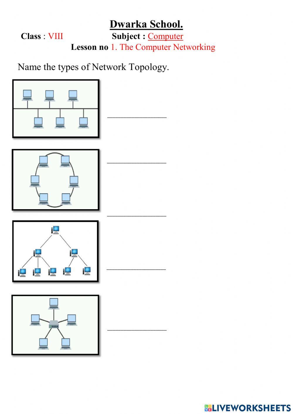Class 8 The Computer Network Online Exercise For Live Worksheets computer-network-class-8-basics-of-networking-kriti-educational
