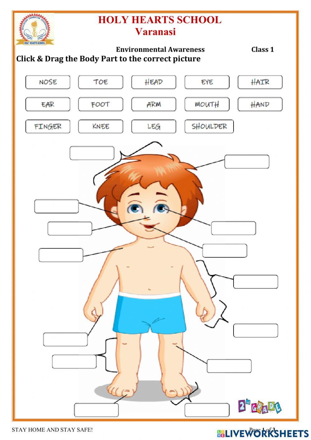 927224 EVS Class 1 Nisha Thukral LiveWorksheets 927224 EVS Class 1 Nisha Thukral LiveWorksheets