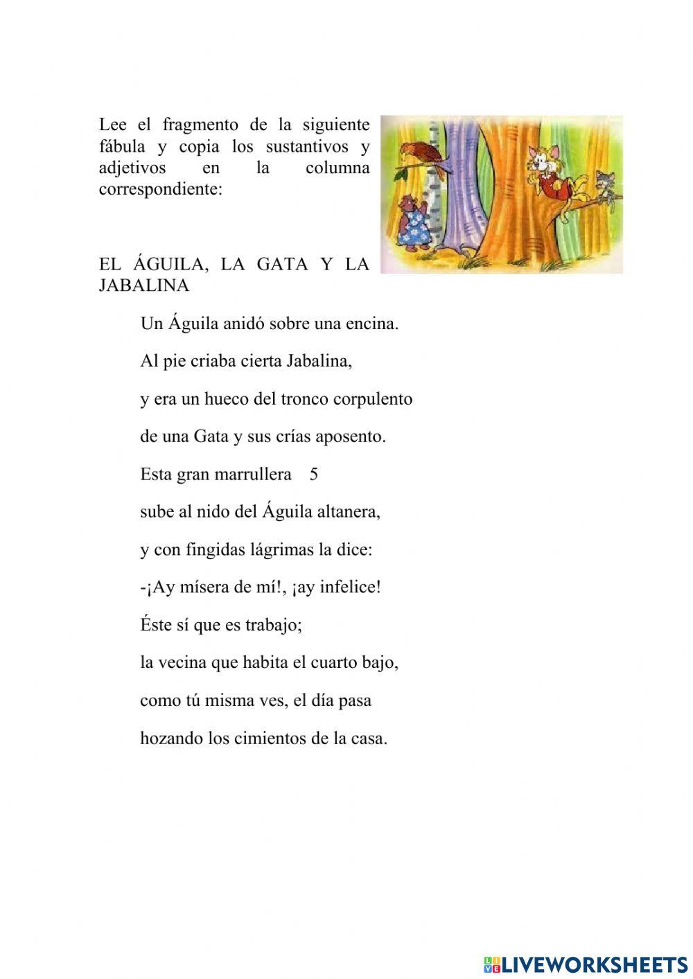 Sustantivos y adjetivos