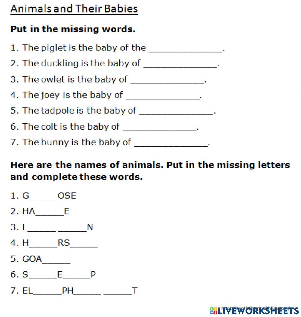 Animals and their Young Ones