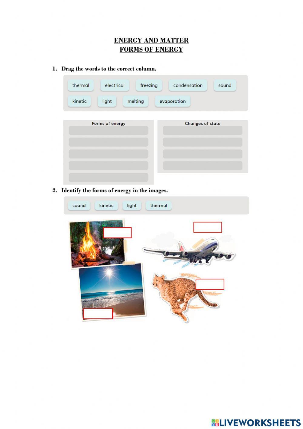Forms of Energy online pdf exercise Live Worksheets