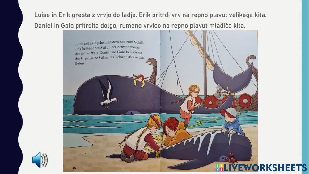 Oma Fix und die kleinen Wikinger - 5. del