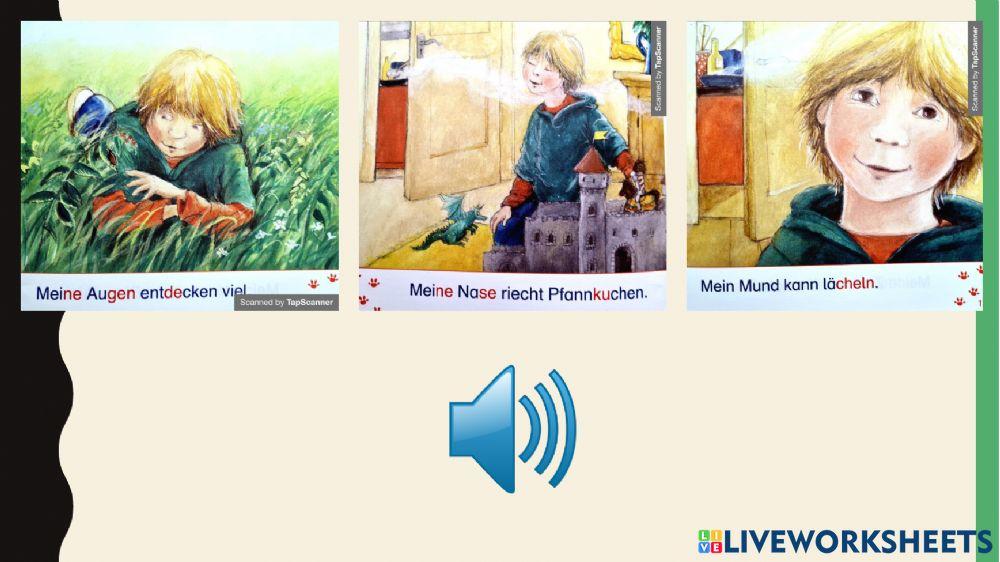 Mein Körper - 2. del