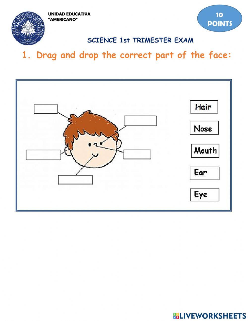 Science 1° trimester evaluation