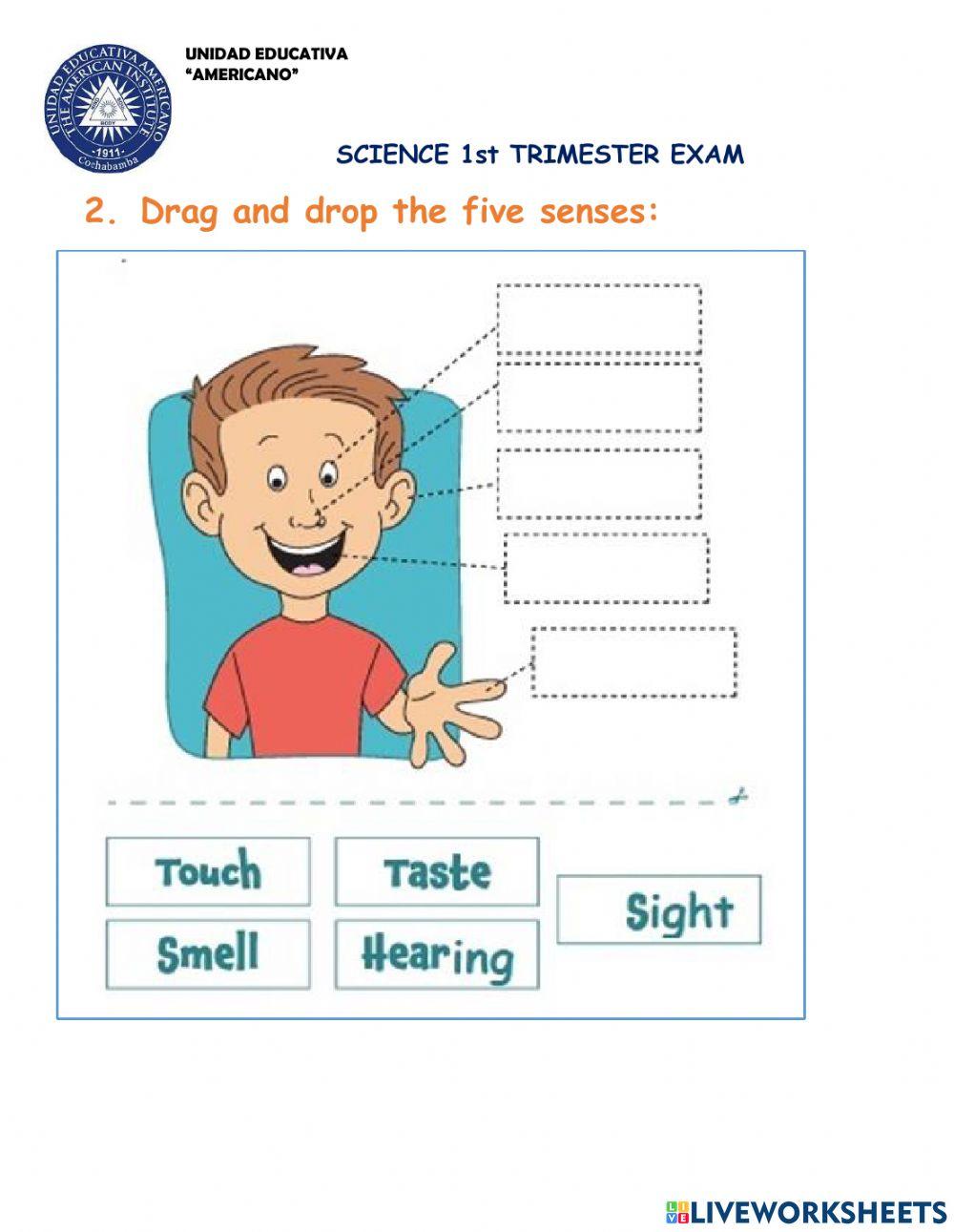 Science 1° trimester evaluation