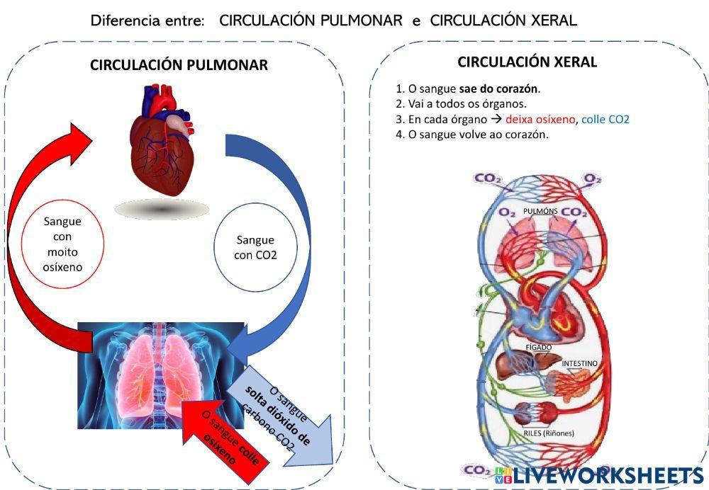 Aparatos na función de nutrición