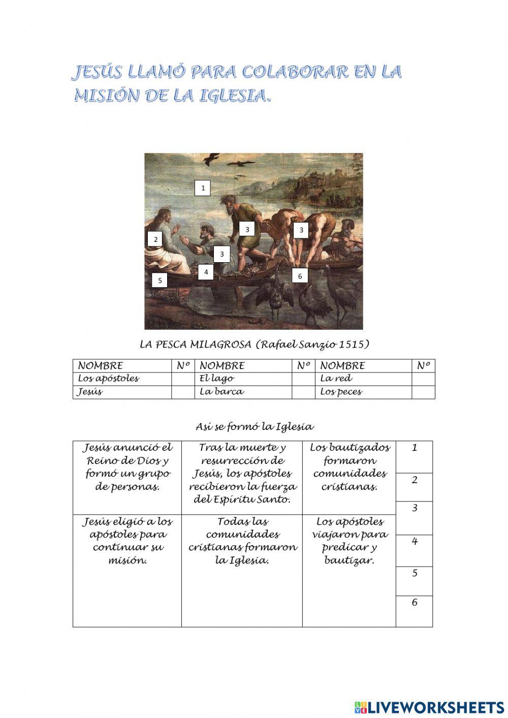 Jesús llamó para colaborar en la misión de la Iglesia