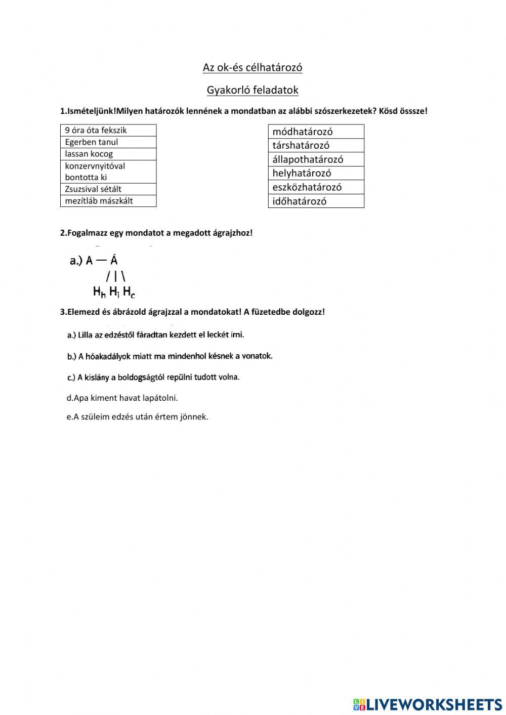 Ok-és célhatározó