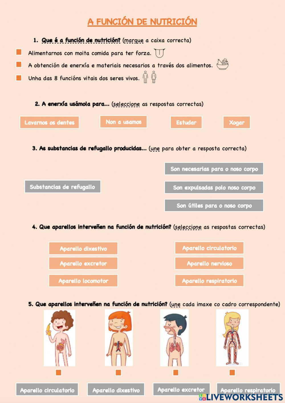 A función de nutrición