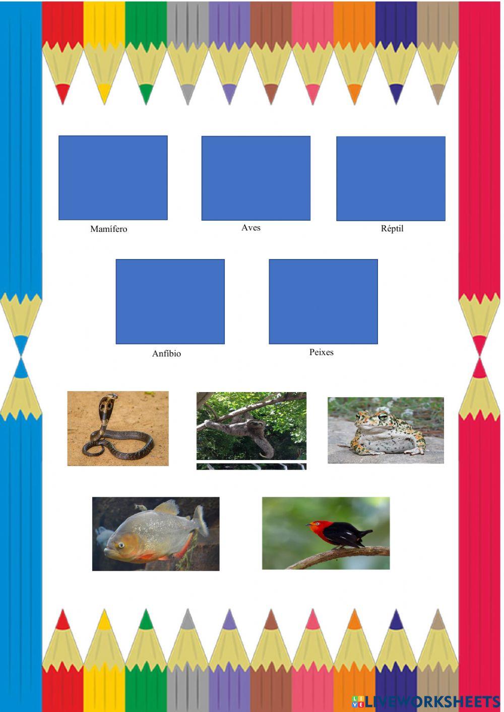 Classificação dos seres vivos