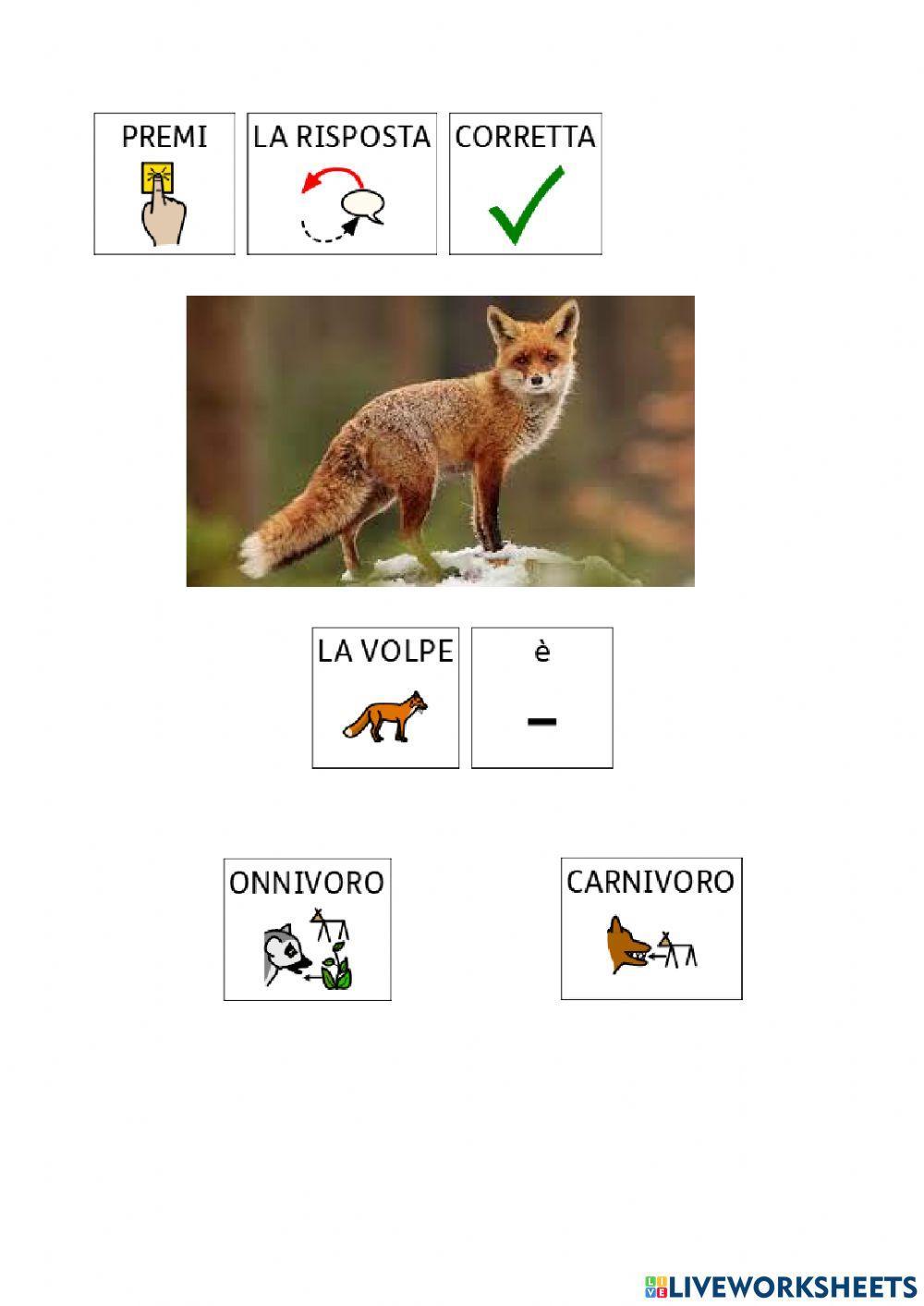 Animali: erbivori, carnivori e onnivori