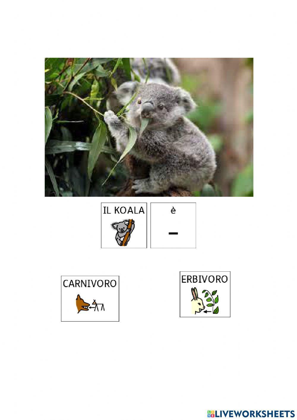 Animali: erbivori, carnivori e onnivori
