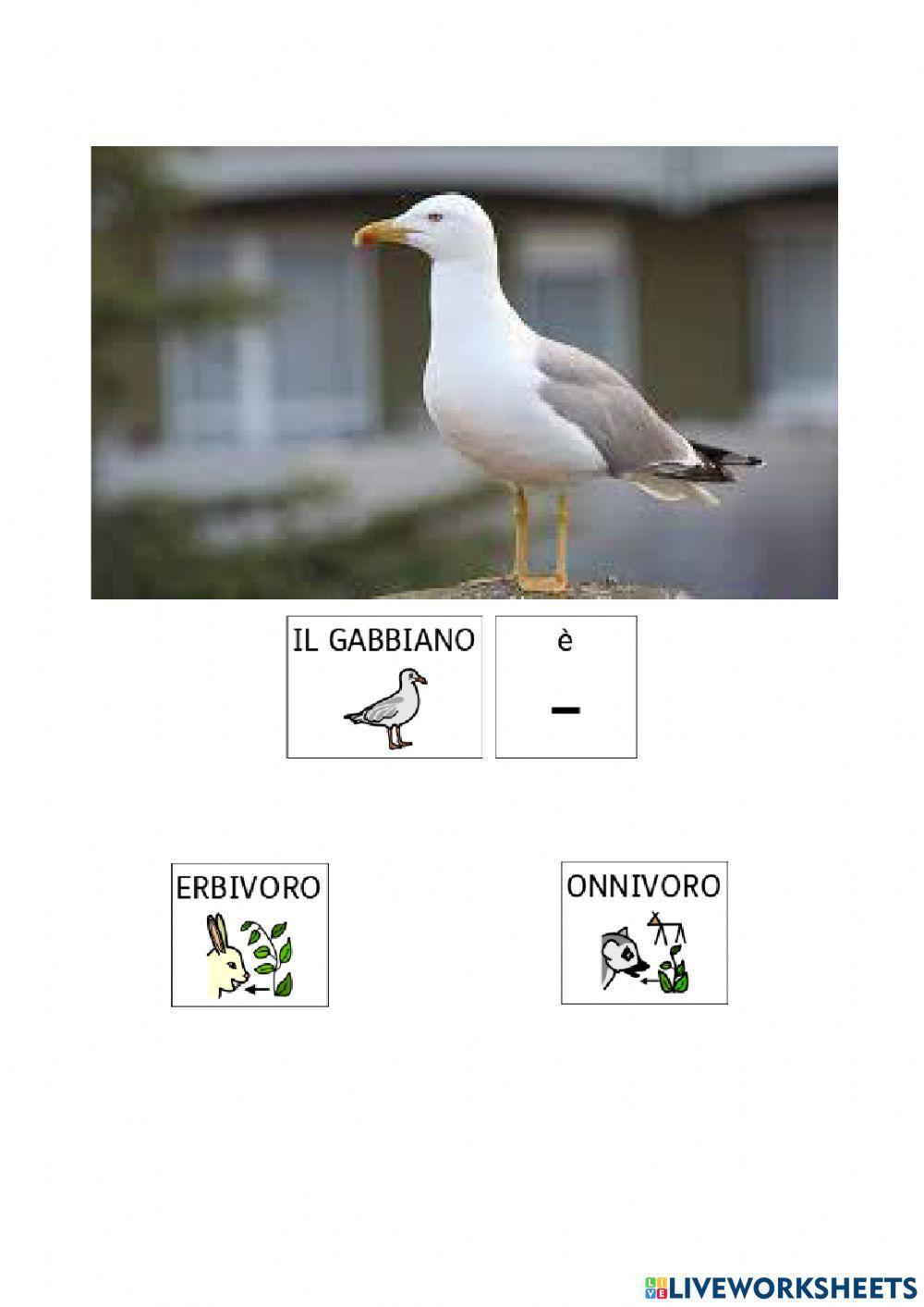 Animali: erbivori, carnivori e onnivori