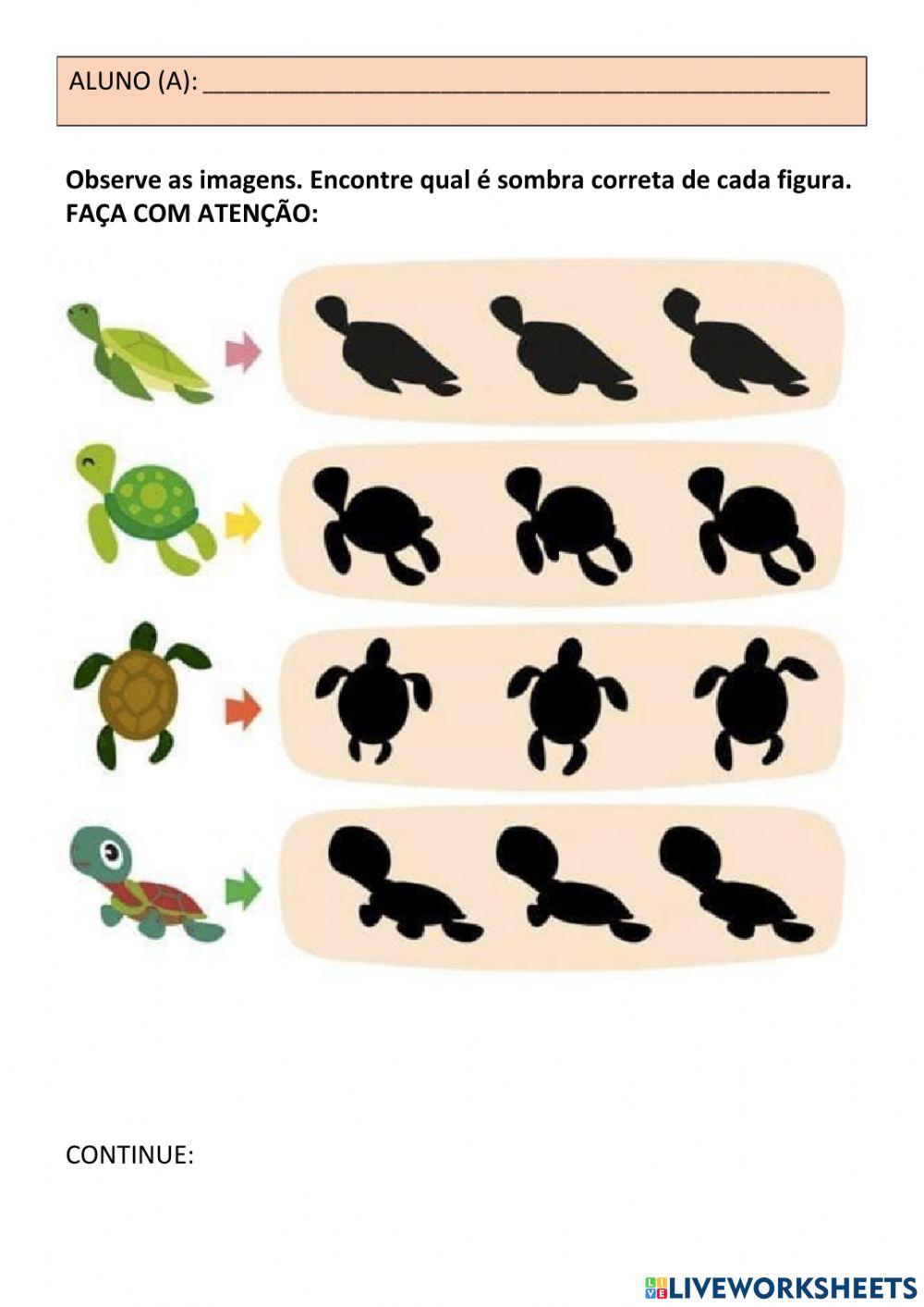 Discriminação Visual