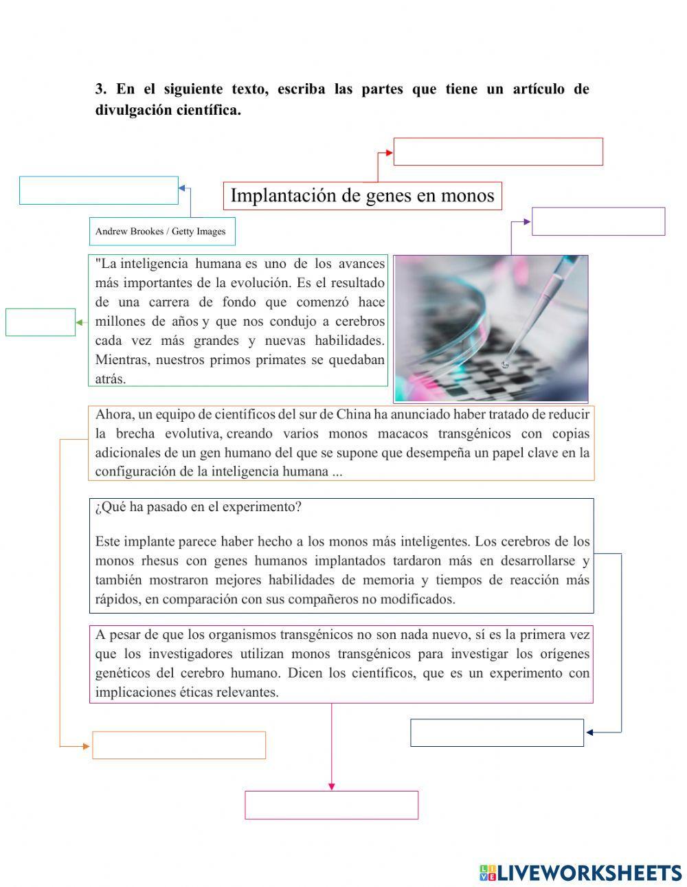 Texto de divulgación científica Monos