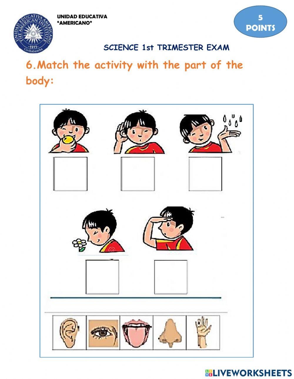 Science 1° trimester evaluation (4)