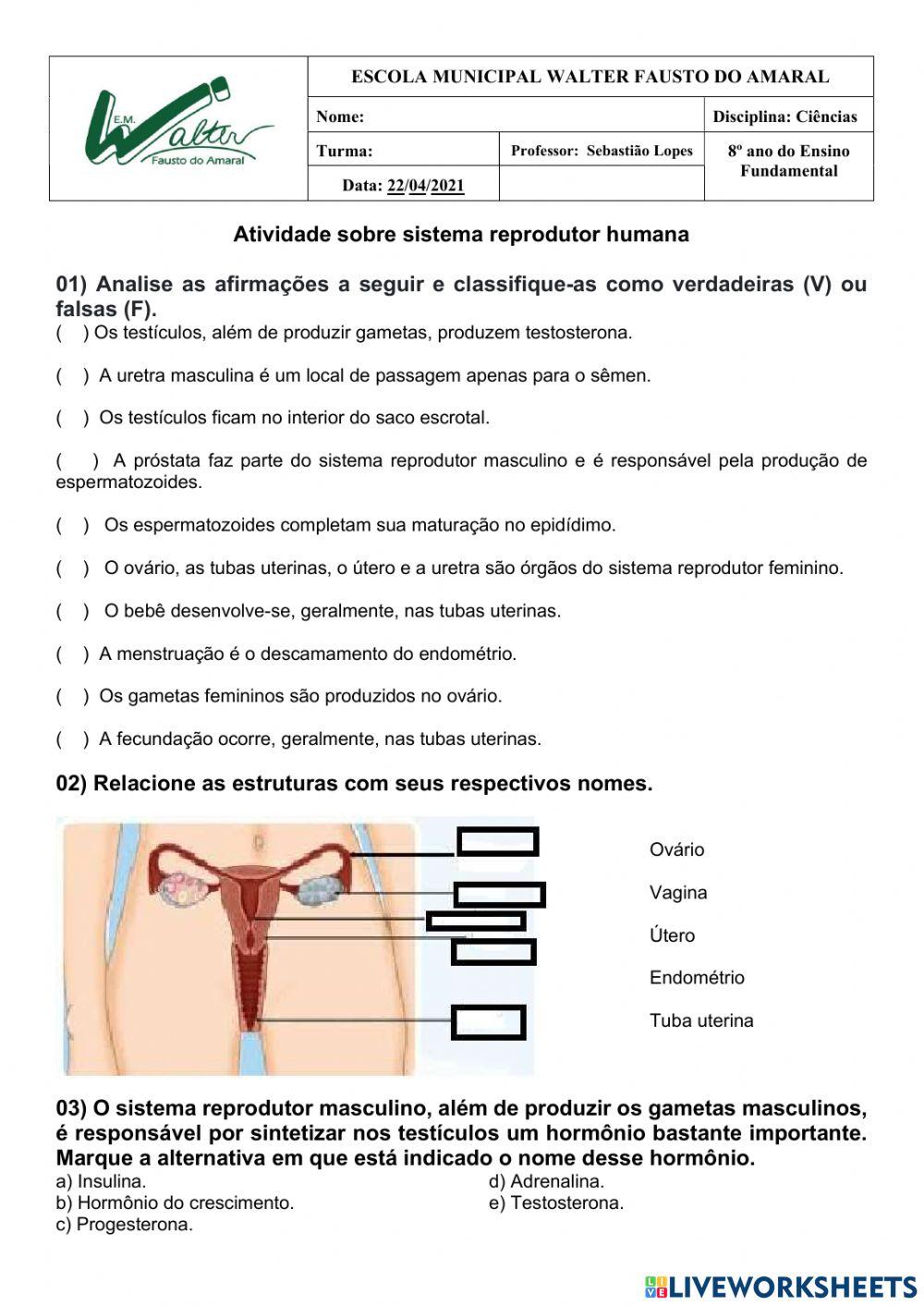 Sistema reprodu… | Free Interactive Worksheets | 930130, image size:1000x1413