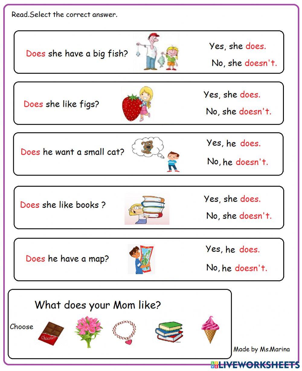 Sight words:does,doesn't