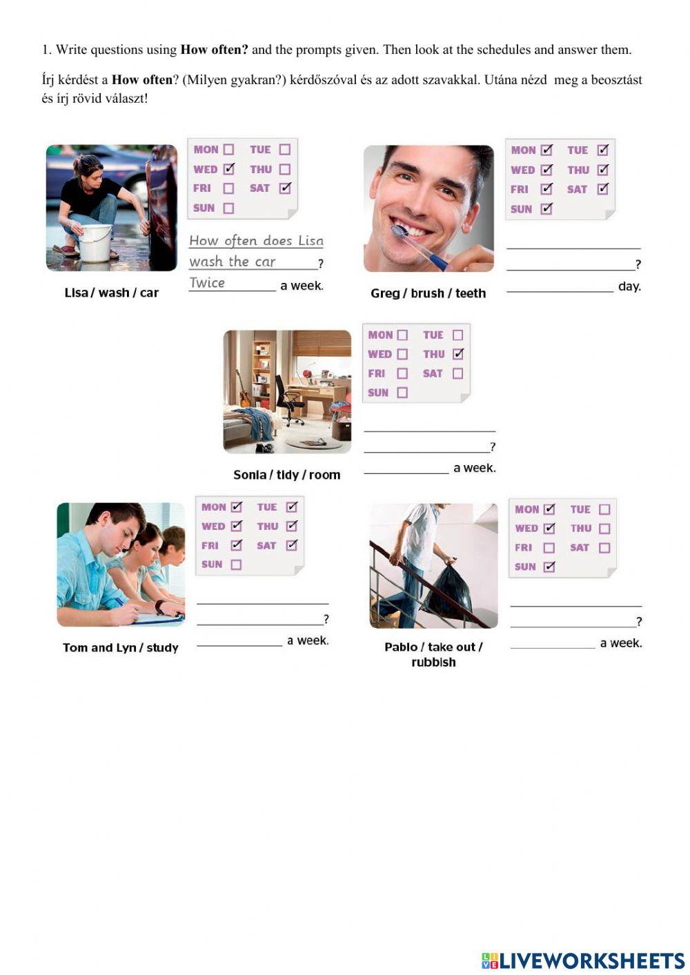 Adverbs of frequency