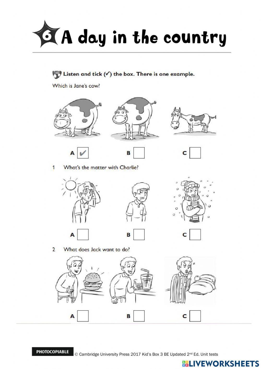 Kids Box 3 - Test Unit 6