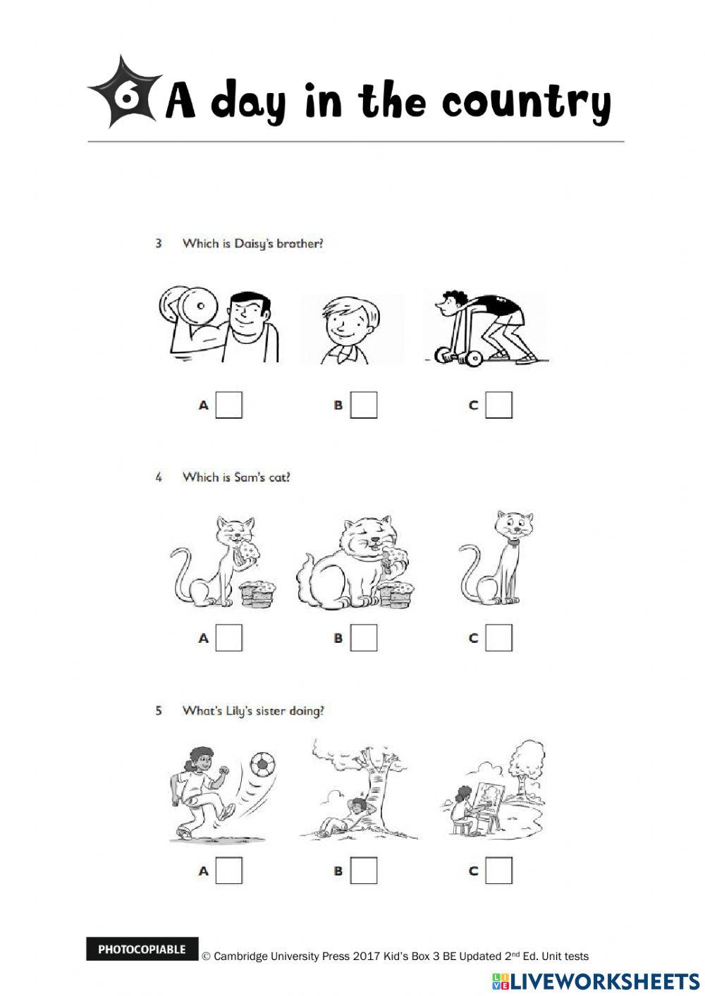 Kids Box 3 - Test Unit 6