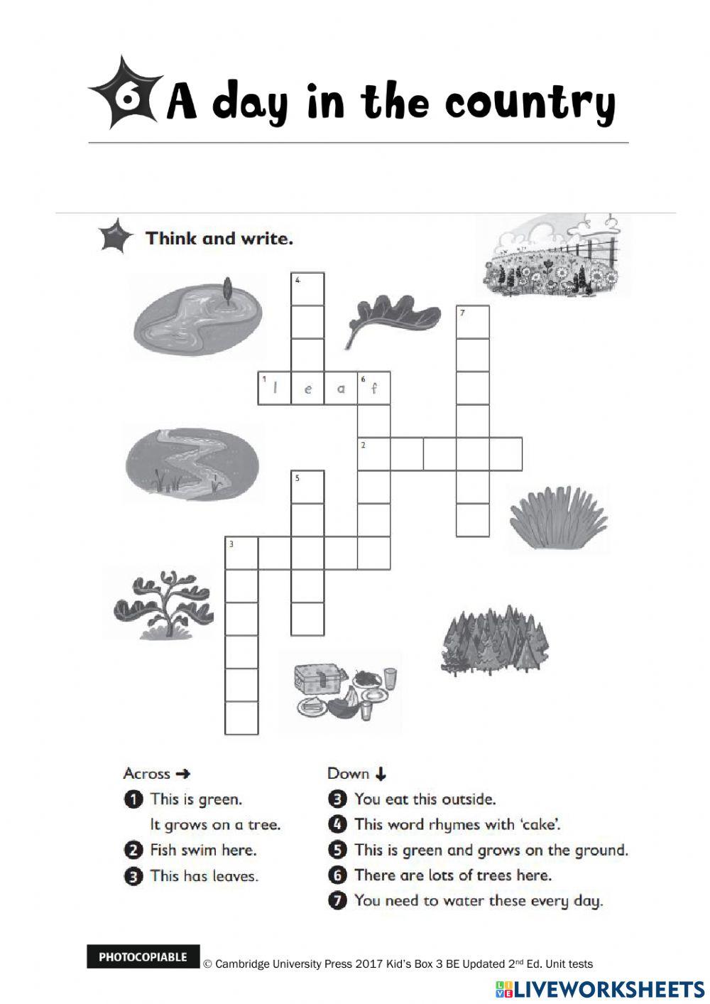 Kids Box 3 - Test Unit 6