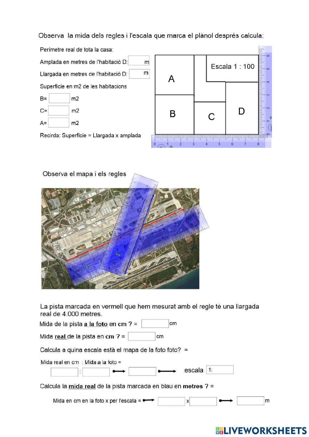 Proporcionalitat i escala