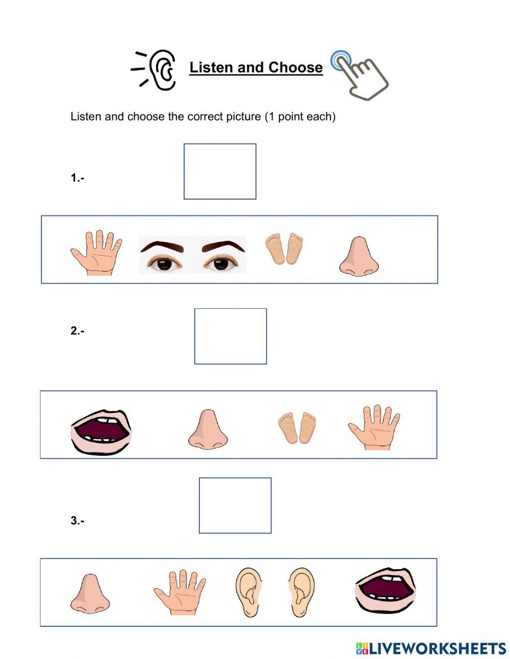 Listening quiz n°3 parts of the boby