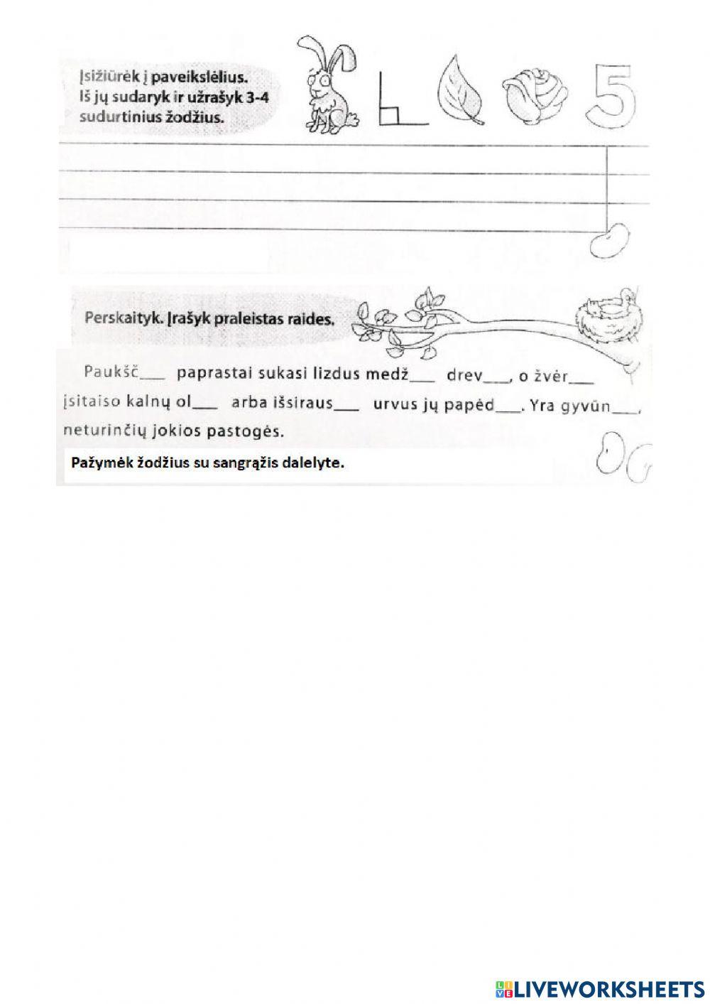 Testas Nr.8 Pupa 3 kl