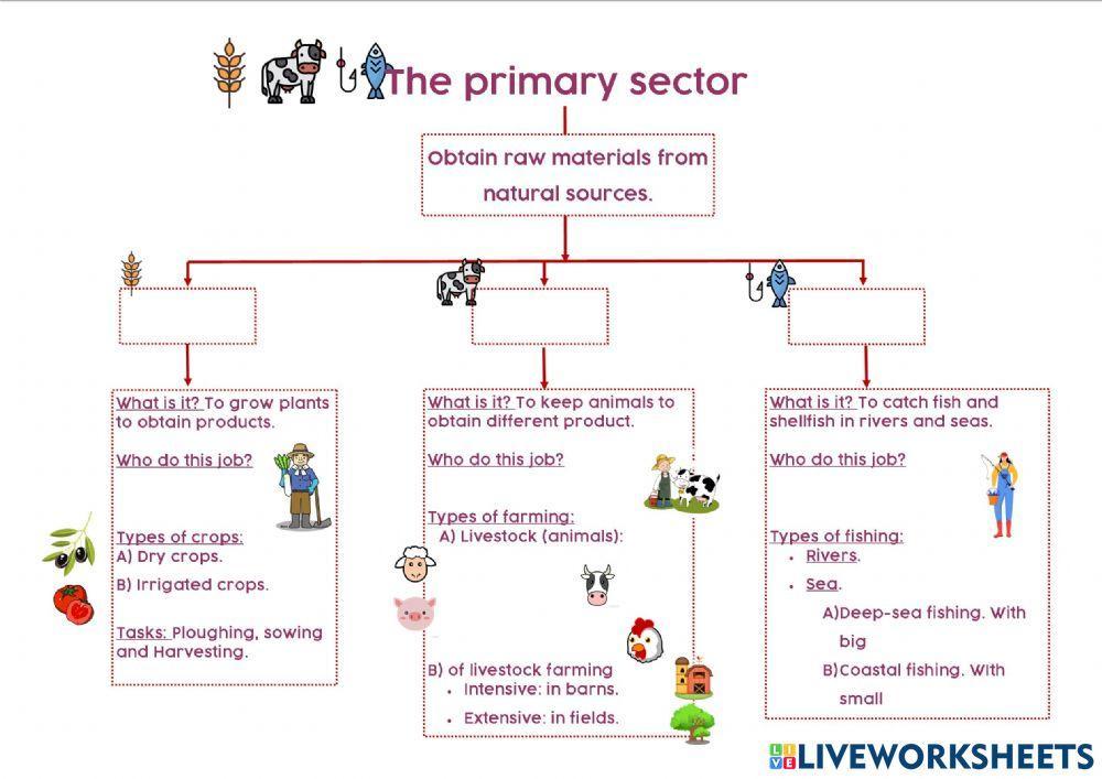 The primary sector