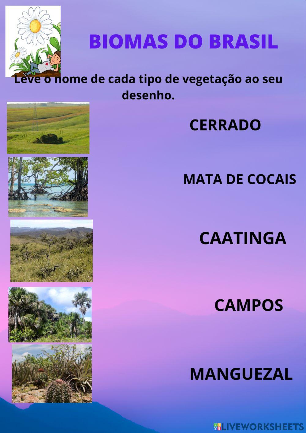 Biomas do Brasil worksheet for 7º ano