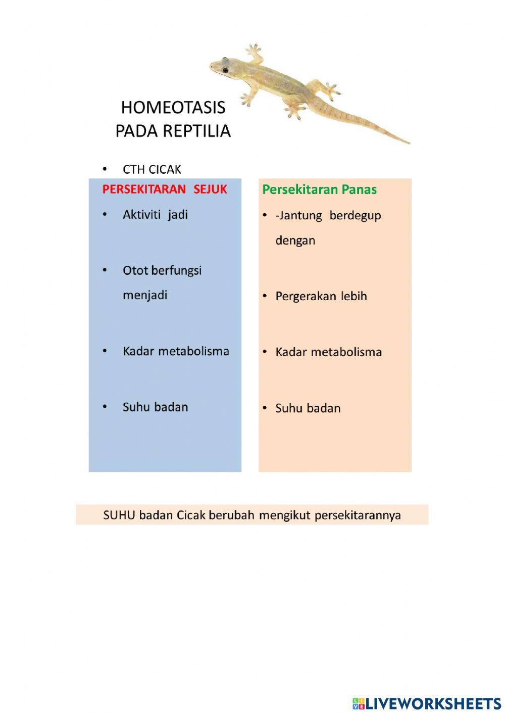Homeostasis dalam haiwan