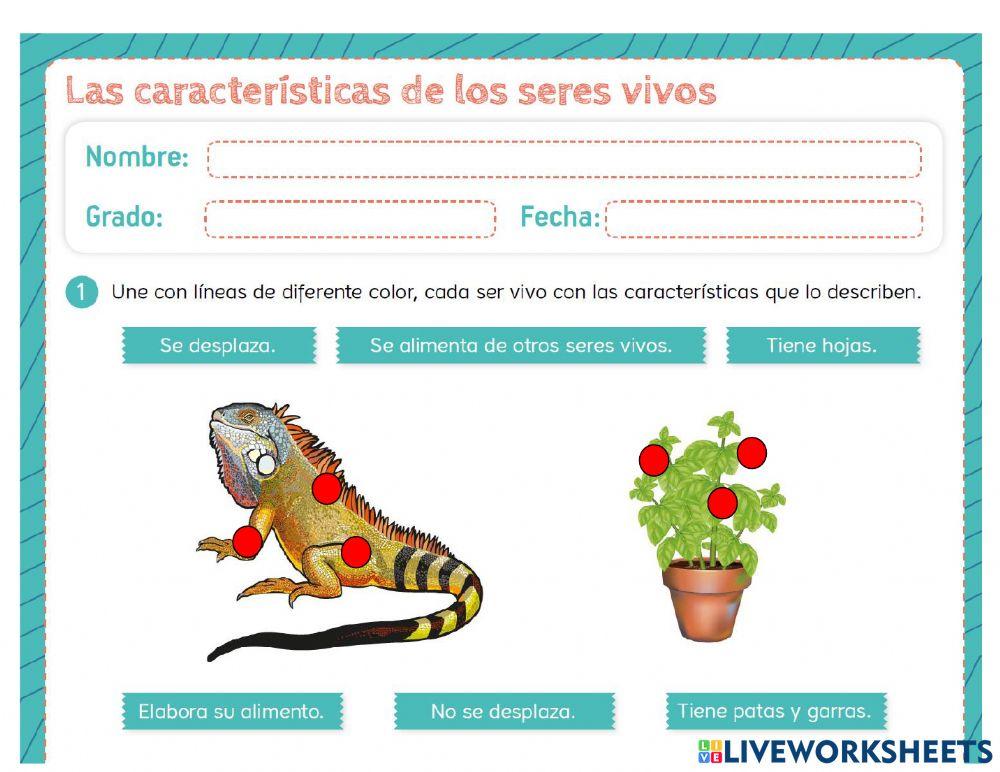 Seres  vivos e inertes