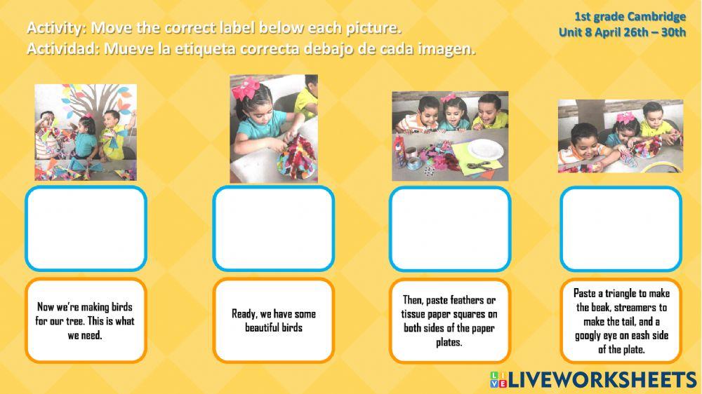 Steps to make a bird