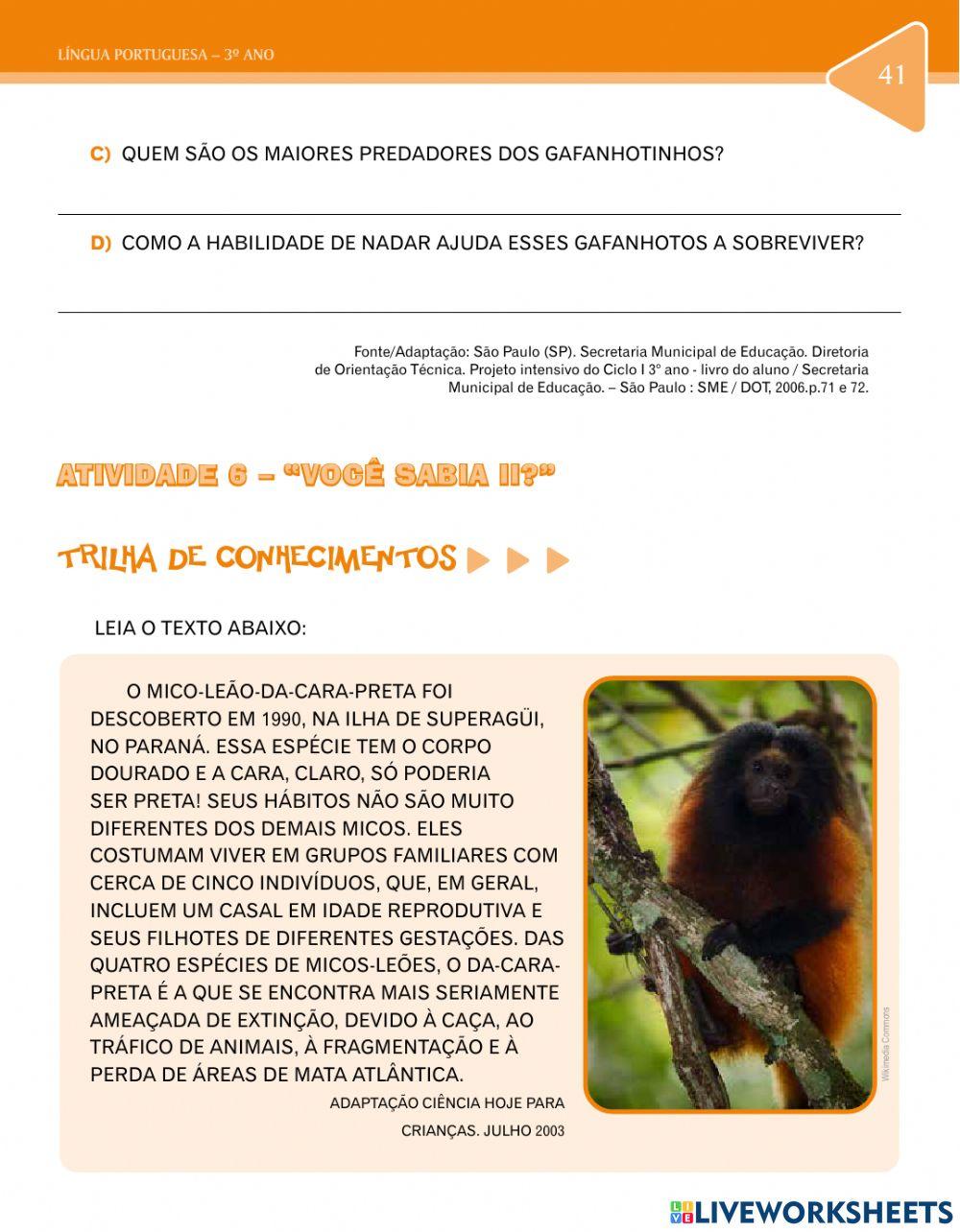 Leitura e interpretação