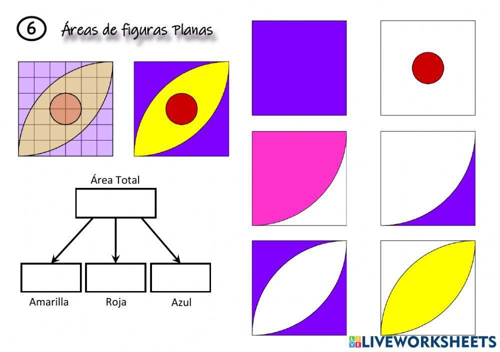 Cálculo de áreas (6) sin guion