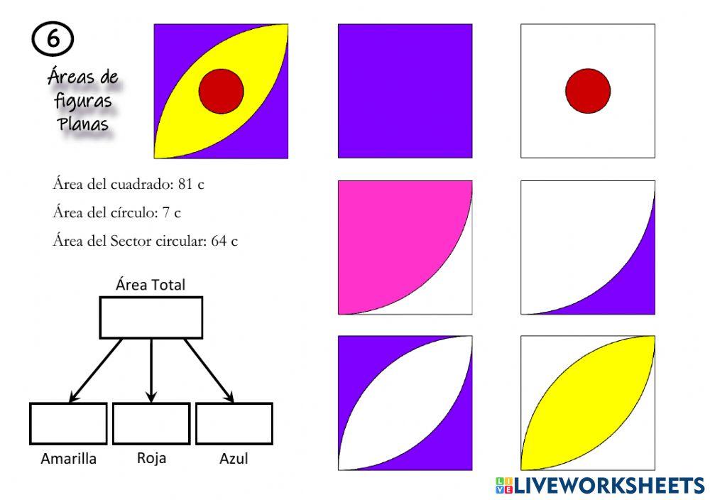 Áreas y porcentajes  (6)