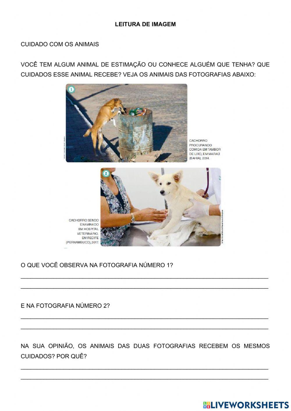 Lingua portuguesa e matemática