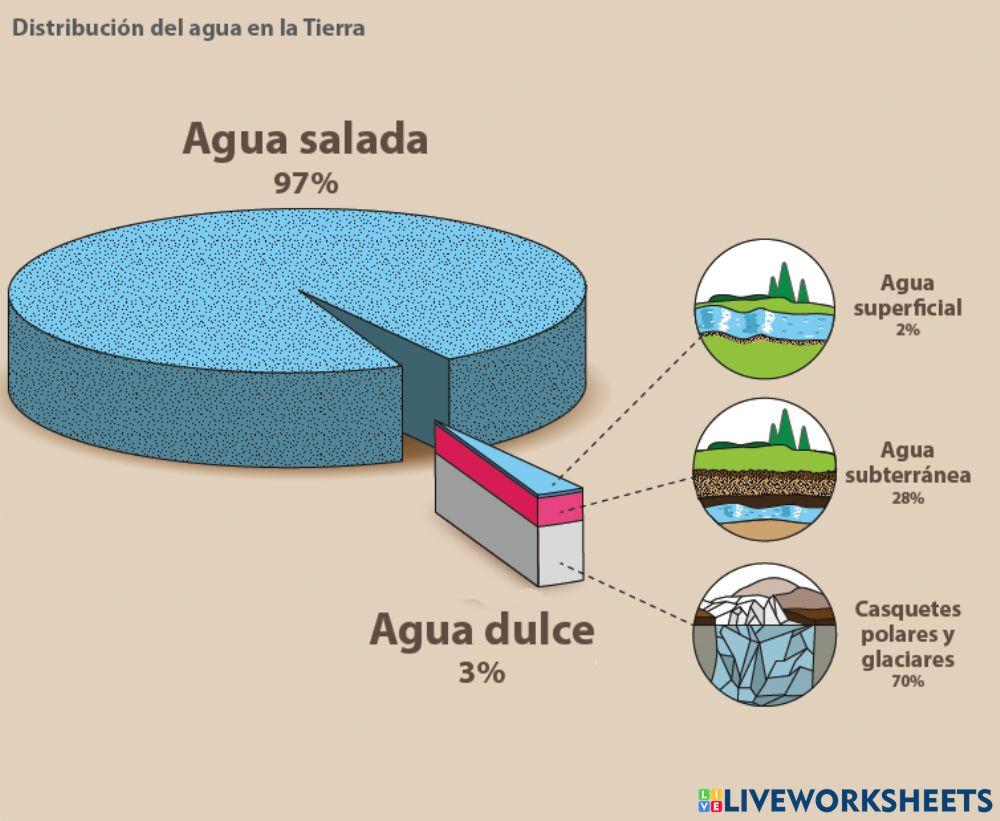 Gráfico de la distribución del agua