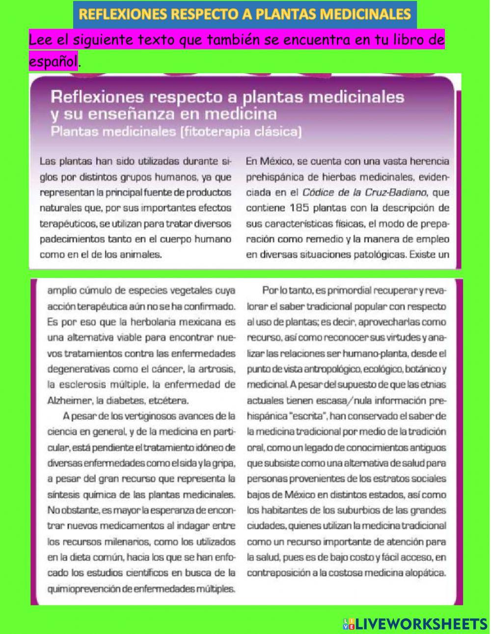 Reflexiones respecto a las plantas medicinales