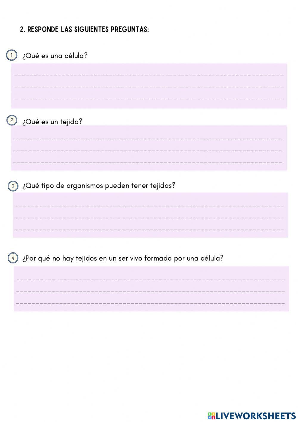 Niveles de Organización: Células a Tejidos